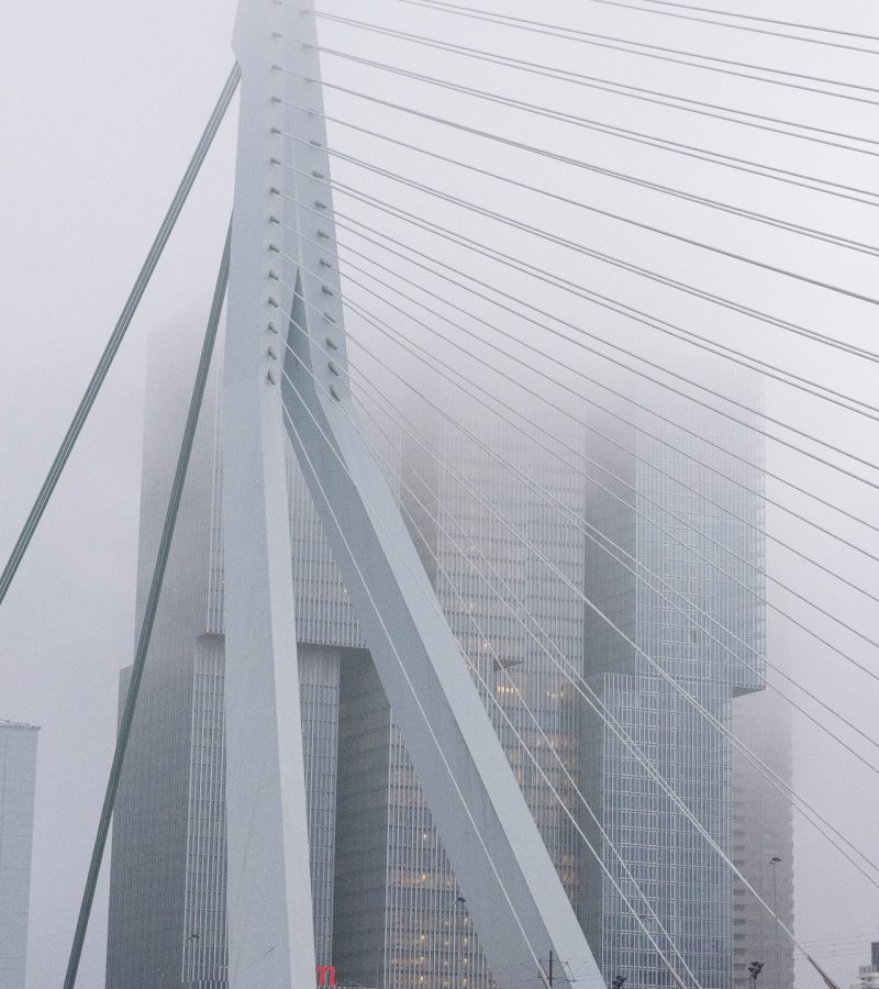 Erasmusbrug-Rotterdam-oyzh842bf6l308iybwgh6034njwiow23o9ff0l604o