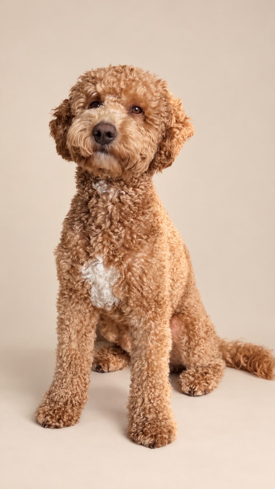 Milo